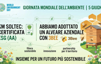 Certificación ESG y Colmena Corporativa: el compromiso concreto de KM Soltec con la sostenibilidad
